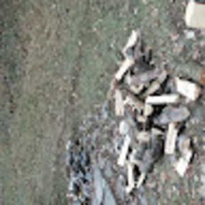 Meet your Posher, Pecker